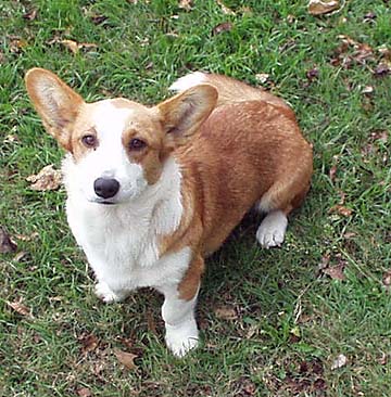 My first view of Aliza