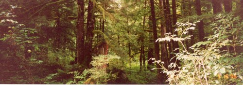 Princess Louisa Inlet