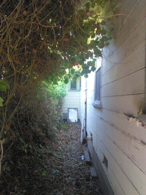 Heart of Darkness Part 2