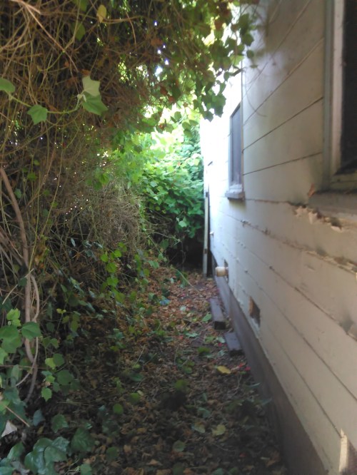 Heart of Darkness Today